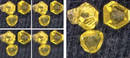 Microscopy Imaging Software optimizes industrial analyses.