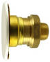 Sidewall Sprinkler is concealed behind flat cover plate.