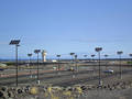 
Solar Parking Lot Security and Wildlife Enhancement
