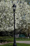 LED Street Lights integrate network control system.