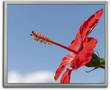 TFT LCDs can be read in high-ambient light environments.