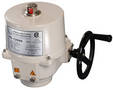 Quarter-Turn Electric Actuators suit rugged applications.