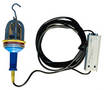 Explosion Proof LED Drop Light features inline transformer.