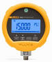 Precision Pressure Test Gauges survive harsh environments.
