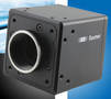 Dual GigE CMOS Cameras deliver quality images at high speeds.