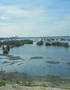 
Coastal Monitoring Using a Custom DAQ Solution

