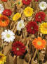 
Clariant Turns Spotlight on Sustainability and Performance at China Paper 2012
