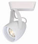 Track Luminaire delivers 49 lumens per watt.