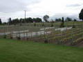 
Temperature Monitoring a Vineyard's Microclimate

