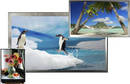 
Featured: Liquid Crystal Displays for Rackmount Applications
