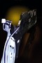 Tape Feeders suit high-speed chip placement equipment.