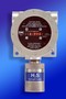 Hydrogen Sulfide Sensor offers 180-day calibration cycle.