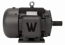 AC Motors suit general purpose applications.