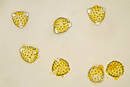 
Malvern's Morphologi G3 Used in Allergy Research
