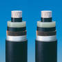 
ABB Celebrates Landmark Power Technology
