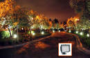 
LEDtronics Uplights Improve Landscape Ambience, Security While Reducing Energy Costs in Master-Planned Community
