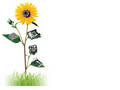 
Ticona to Showcase 'Engineering Polymers for Green Electronics' at SEMICON West 2012
