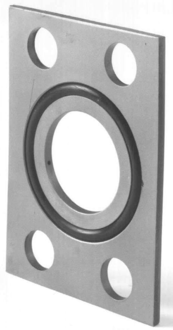 Seal Plate with Support Ring