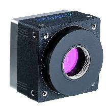 Inspection Cameras provide IEEE-1394 standard output.