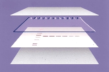 Membrane Sandwiches make western blotting easier.