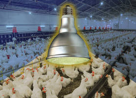 Latest Independent Field Testing Results Show that Selco's LED Poultry Lights Provide Superior Light Maintenance with Zero Failures