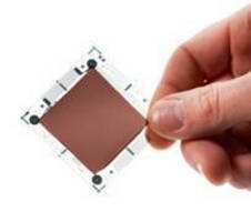 ISORG and Plastic Logic Co-Develop the World's First Image Sensor on Plastic
