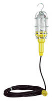 Hand Lamp comes with 10 W color LED bulb and 25 ft cord.