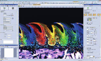 Imaging Software helps users understand biological processes.