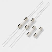 Time-Lag AC Fuses offer current ratings of 5, 6.3, and 8 A.