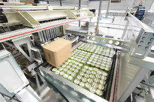 Palletizing System handles mixed cases.