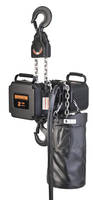 Theatrical Electric Chain Hoists include 1 and 2 ton models.