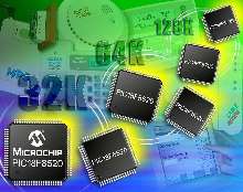 Flash Microcontrollers include 32 Kbyte memory devices.