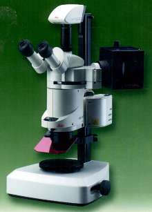 Stereomicroscope allows repeatable, multi-probe experiments.