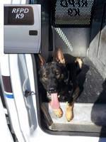 IFH Group Fabricates New Kennel Design for Mobile K9 Police Unit