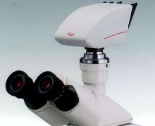 Digital Cameras suit microscopy applications.