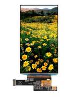 5.49  AMOLED Display Module