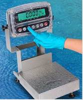 Admiral Bench Scales are suitable for food processing applications.