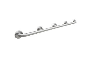 Bradley Releases Bariatric Grab Bars That Can Withstand Higher Load Ratings