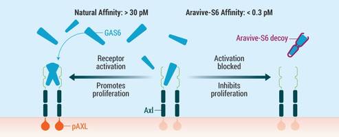 Aravive Presents Detailed Results of Phase 1 Clinical Trial of AVB-S6-500 at the 2018 EORTC-NCI-AACR Symposium