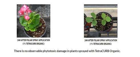 Kemin Introduces TetraCURB Organic Miticide That Knocks Out Spider Mites with Multiple Modes of Action