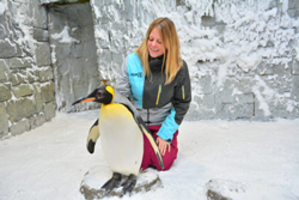RGF's Guardian Air PHI-cell® Technology Protects Penguin Habitat in Ski Dubai's Winter Resort
