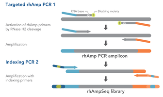 New rhAmpSeq Targeted Sequencing System Generates NGS-Ready Amplicon Libraries in Two PCR Steps