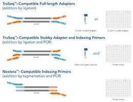 New Custom NGS Adapters Provide Easy and Flexible Customized Adapter Solution to Scientists