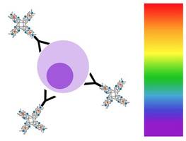 New NovaFluor Dyes Address Unmet Needs Across Spectrum of Cell Analysis