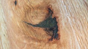 New AngelFiber Hemp Wood Filler Contains Fiber and Oil from Flowering Hemp Plant