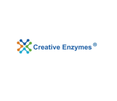 Creative Enzymes Probiotics Expands Service Offering with The Launch of Lactobacillus Strains