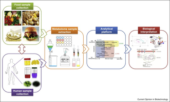 New Food Metabolomics Service for Examining The Metabolic Profile of Laboratory-Grown Food