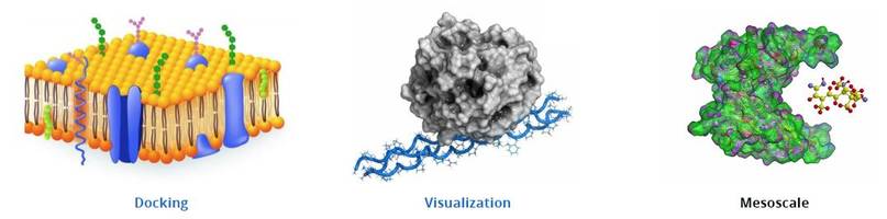 New Docking Software for Virtual Screening and Combinatorial Library Design