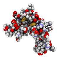 New Growth Factors (GF) Detection Service Regulates Cell Growth and Development