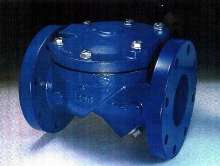 Check Valve targets water and wastewater industries.